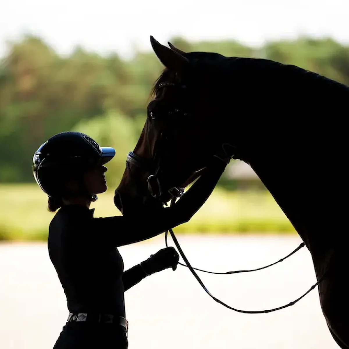 florence-herrent-paardenfotografie-met-je-paard